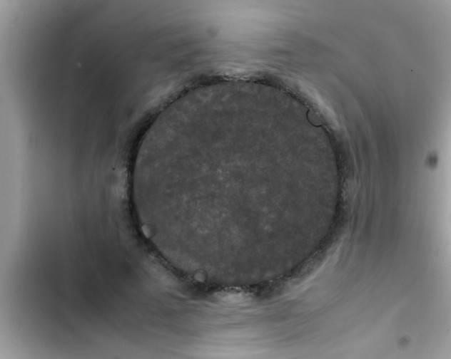 X0000102390689200808151921