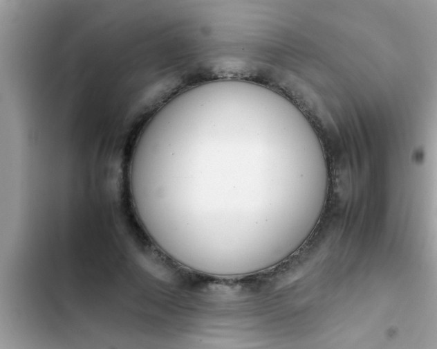 X0000102390690200808151921