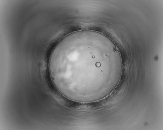 X0000102390691200808151921