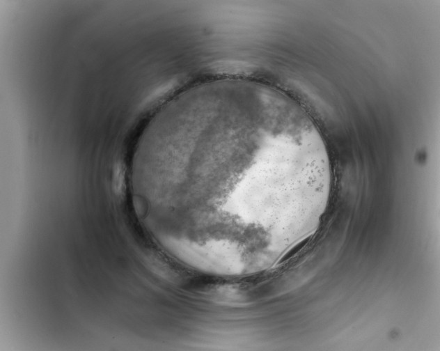 X0000102390692200808151921