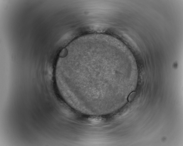 X0000102390693200808151921