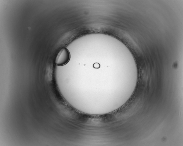 X0000102390694200808151921