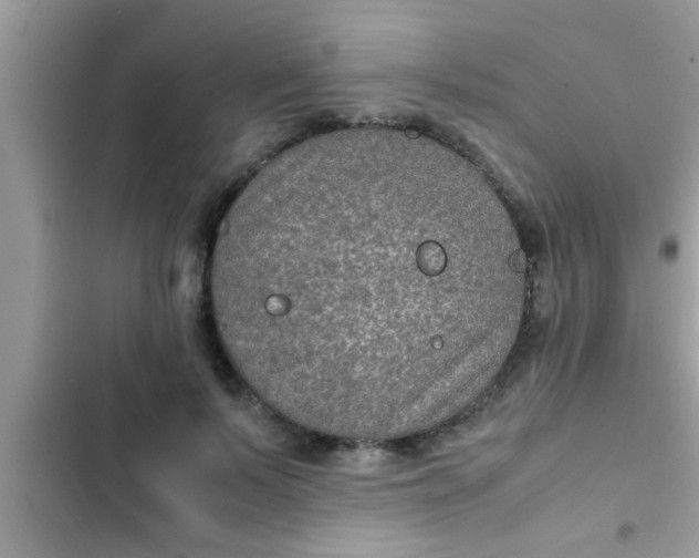 X0000102390695200808151921