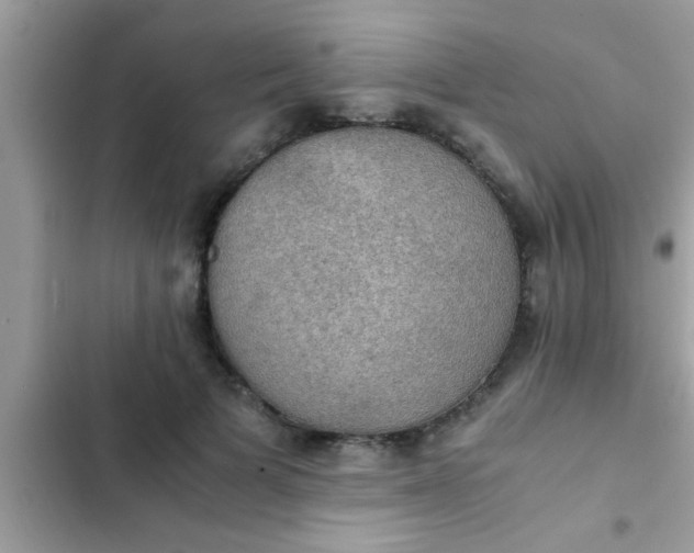 X0000102390697200808151921