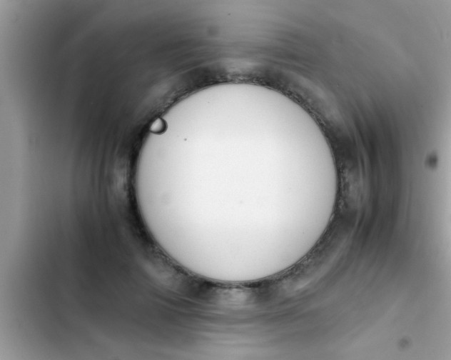 X0000102390698200808151921