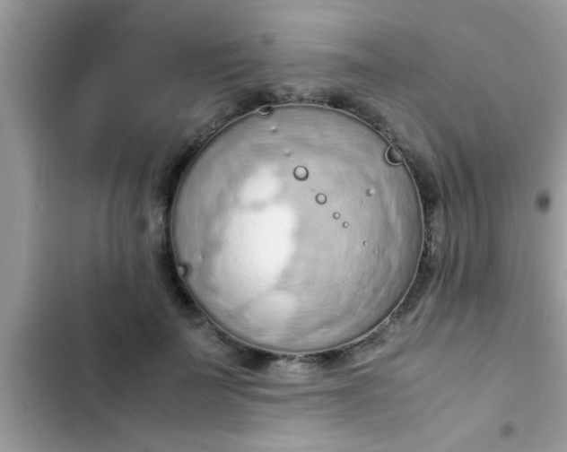 X0000102390699200808151921