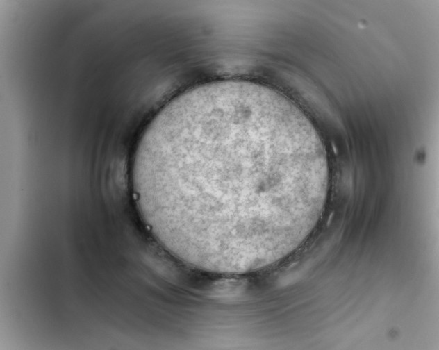 X0000102390700200808151921