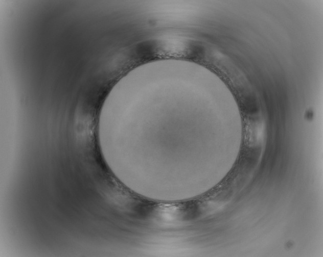 X0000102390701200808151921