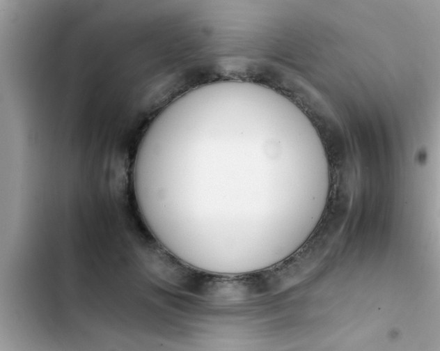 X0000102390702200808151921