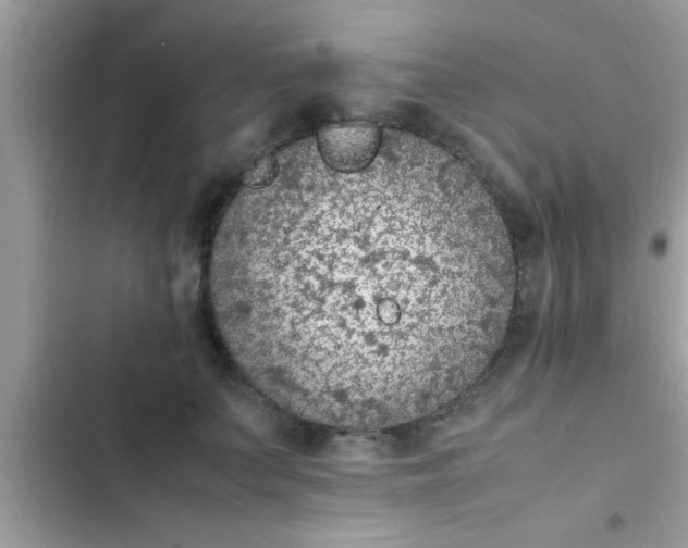 X0000102390703200808151921