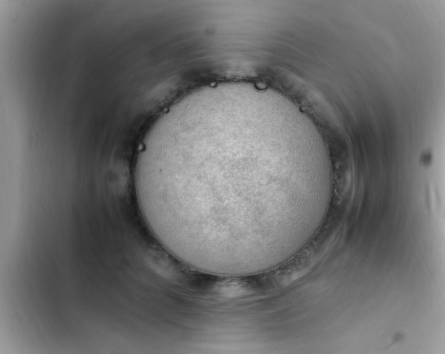 X0000102390704200808151921