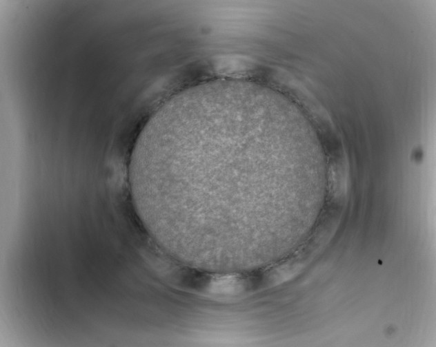 X0000102390705200808151921