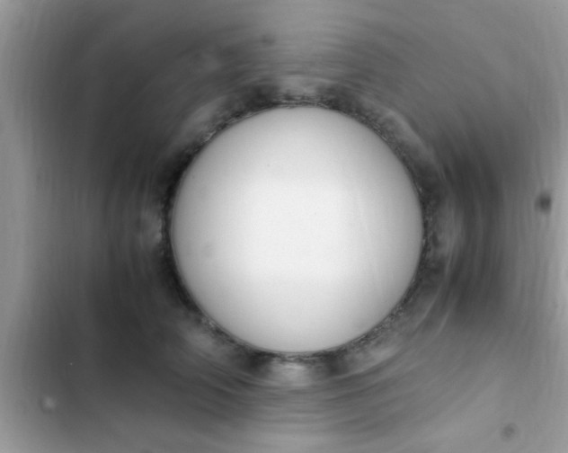 X0000102390706200808151921