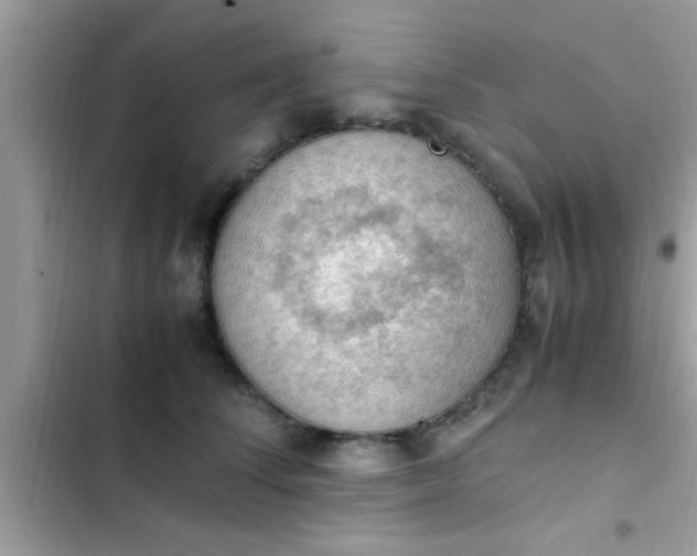 X0000102390708200808151921