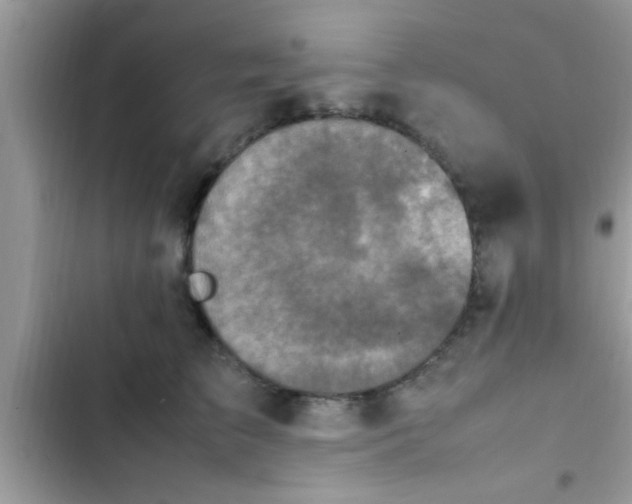 X0000102390709200808151921