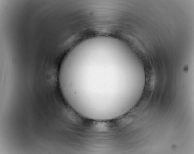 X0000102390710200808151921