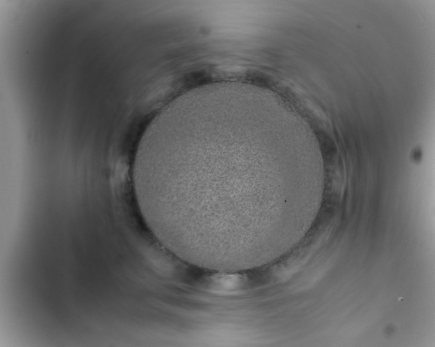 X0000102390711200808151921