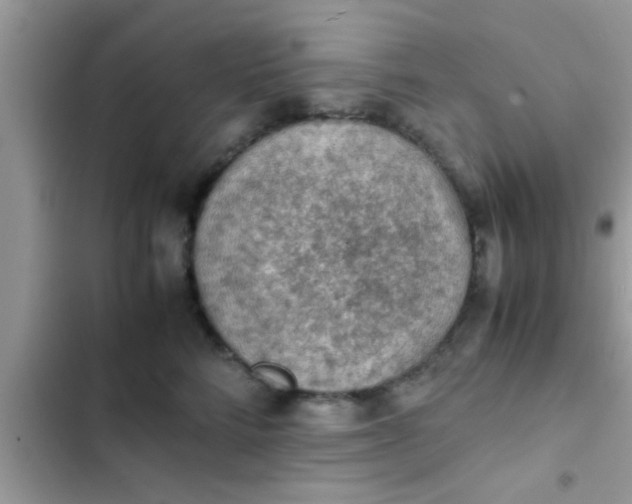 X0000102390712200808151921