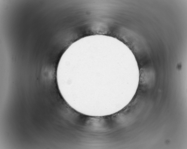 X0000102390713200808151921