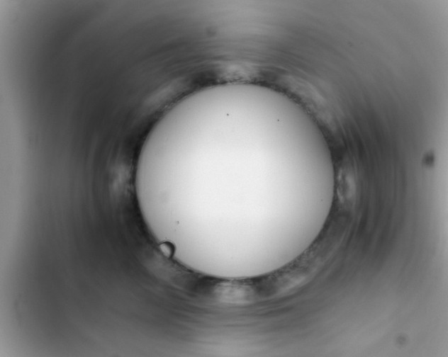 X0000102390714200808151921