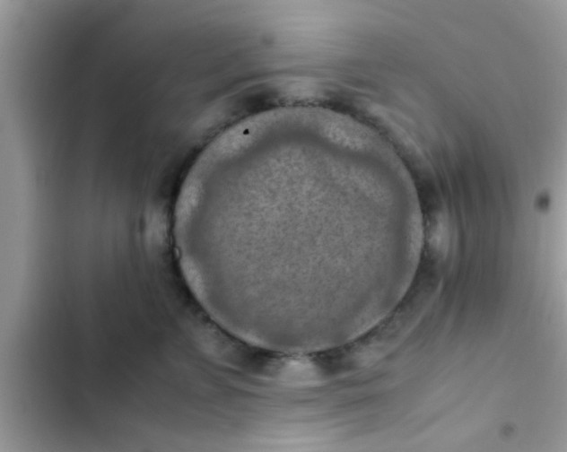 X0000102390715200808151921