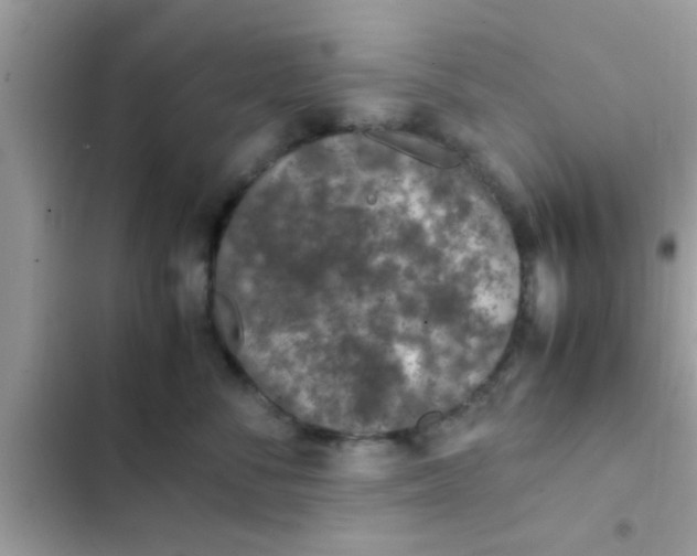 X0000102390716200808151921