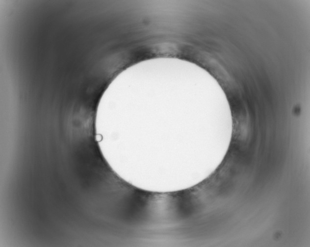 X0000102390717200808151921