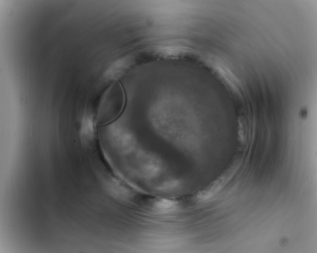 X0000102390718200808151921