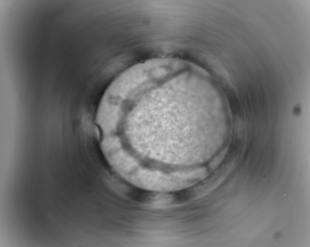 X0000102390719200808151921