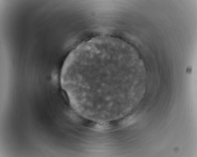 X0000102390720200808151921