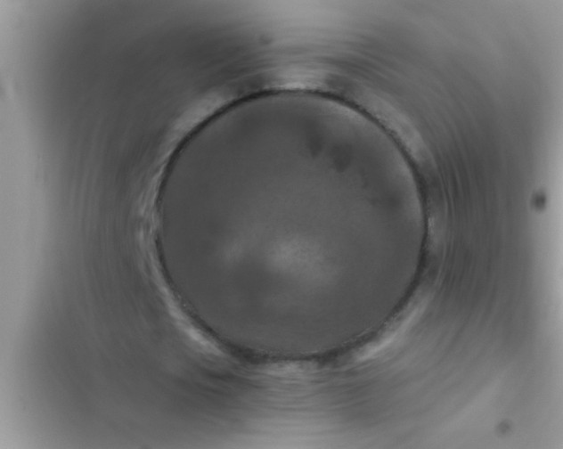 X0000102390721200808151920