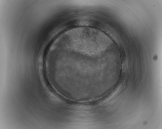 X0000102390722200808151920