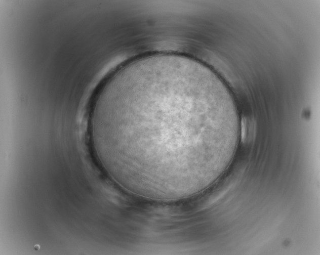 X0000102390723200808151920