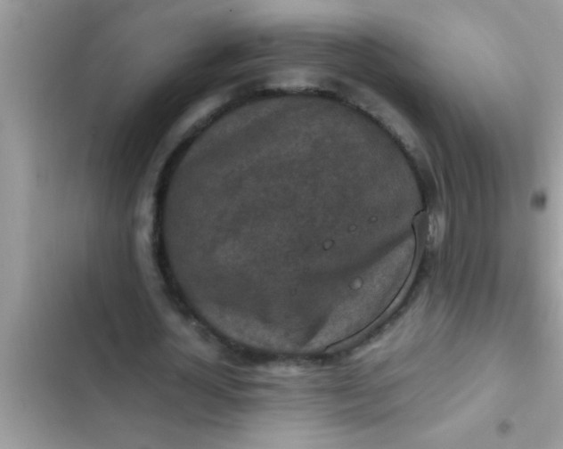 X0000102390724200808151920