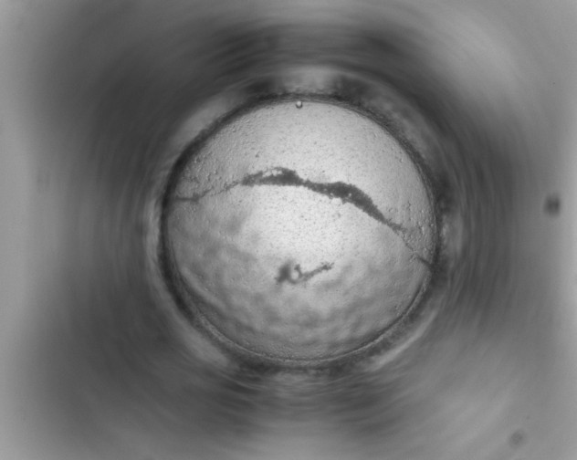 X0000102390725200808151920