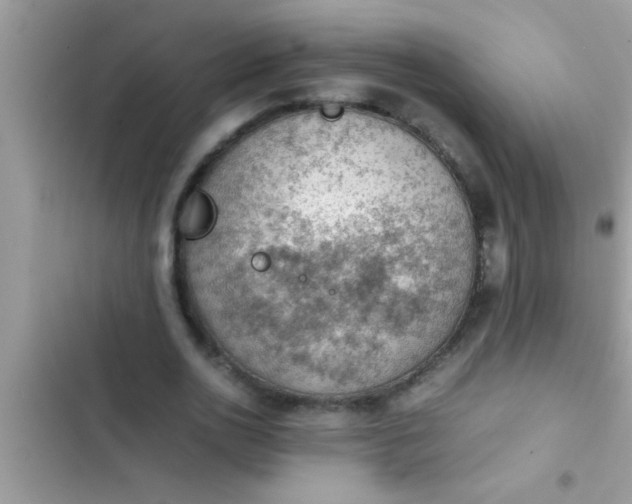 X0000102390726200808151920