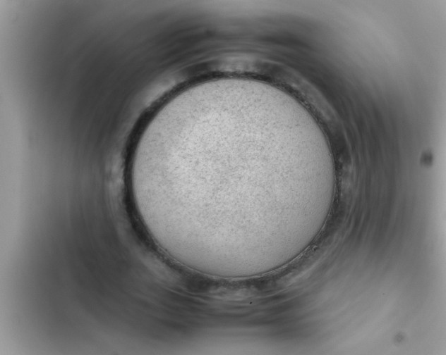 X0000102390727200808151920