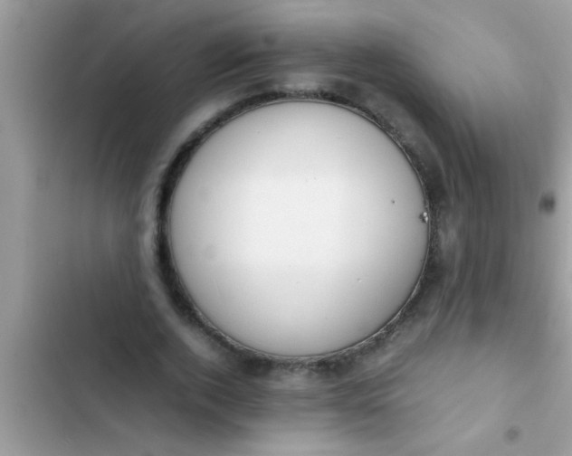 X0000102390728200808151920