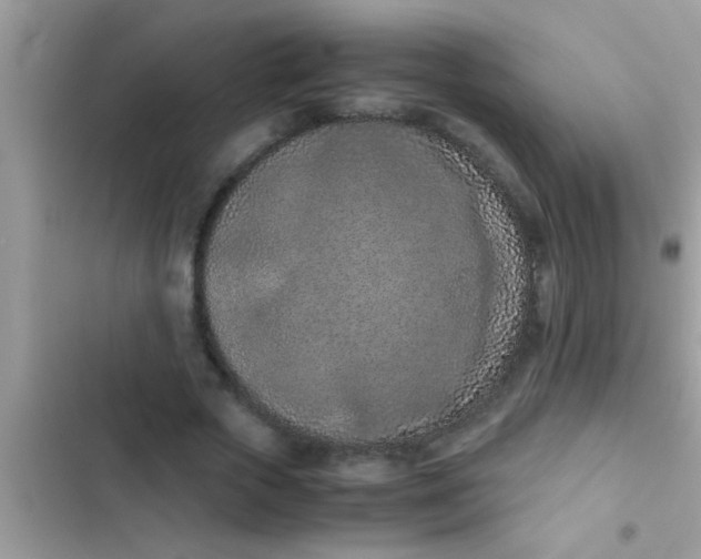 X0000102390729200808151920