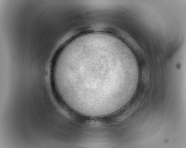 X0000102390730200808151920