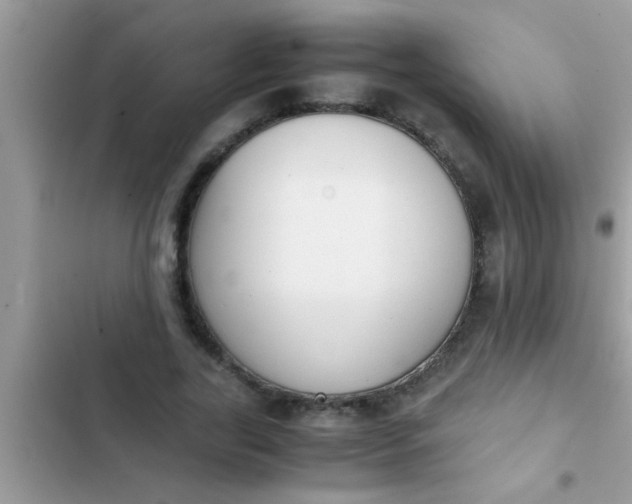 X0000102390731200808151920