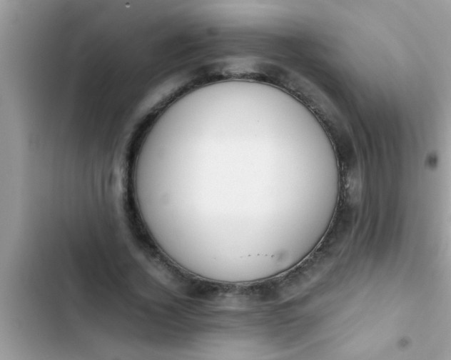 X0000102390732200808151920