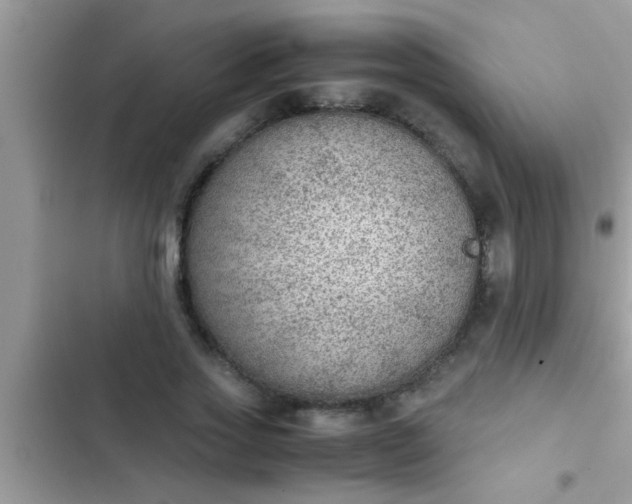 X0000102390733200808151920