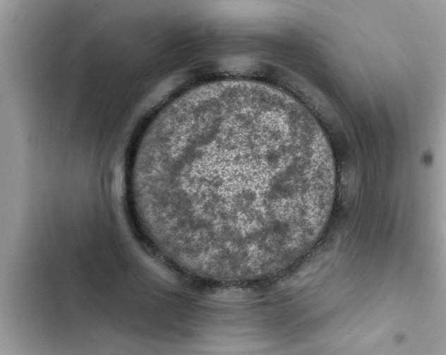 X0000102390734200808151920