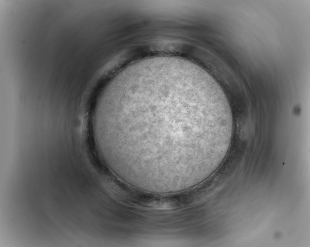 X0000102390735200808151920