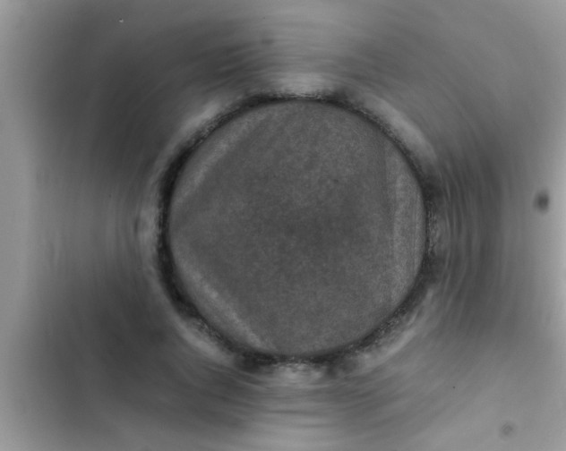 X0000102390736200808151920