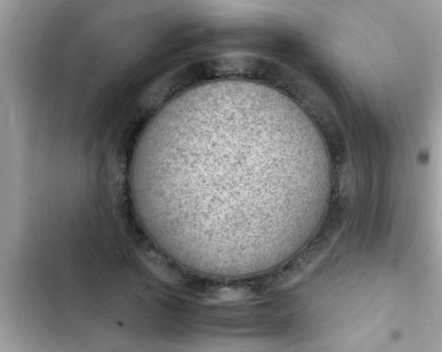 X0000102390737200808151920