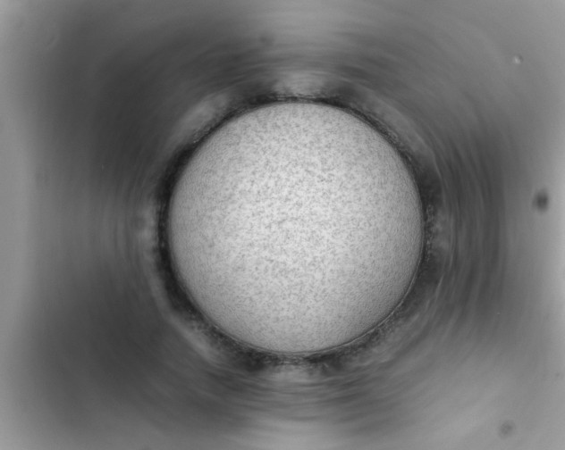 X0000102390738200808151920