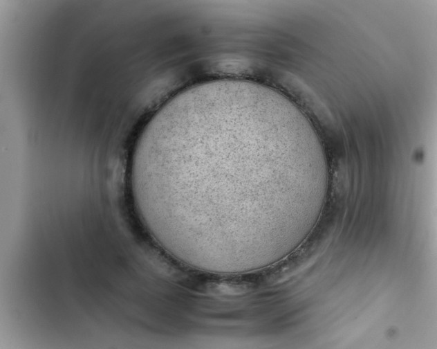 X0000102390739200808151920