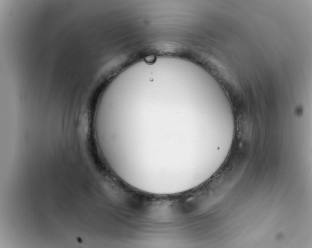 X0000102390740200808151920